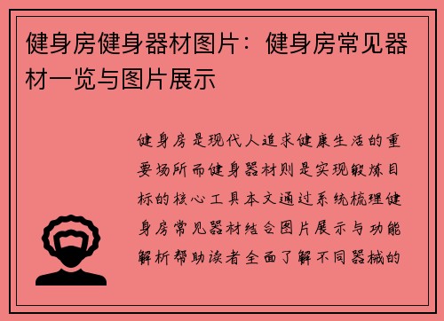 健身房健身器材图片：健身房常见器材一览与图片展示